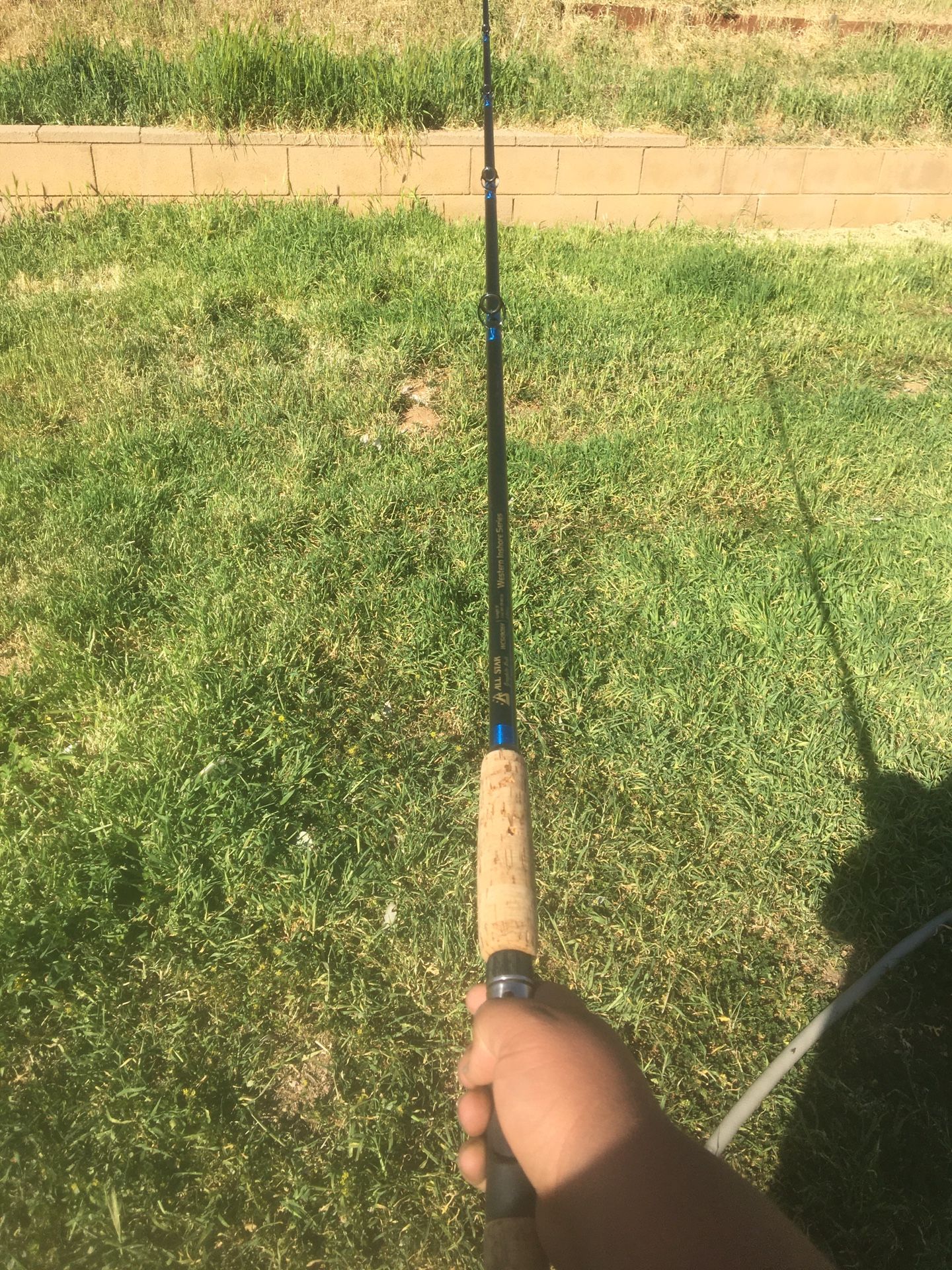 All star fishing rod 9 foot. New
