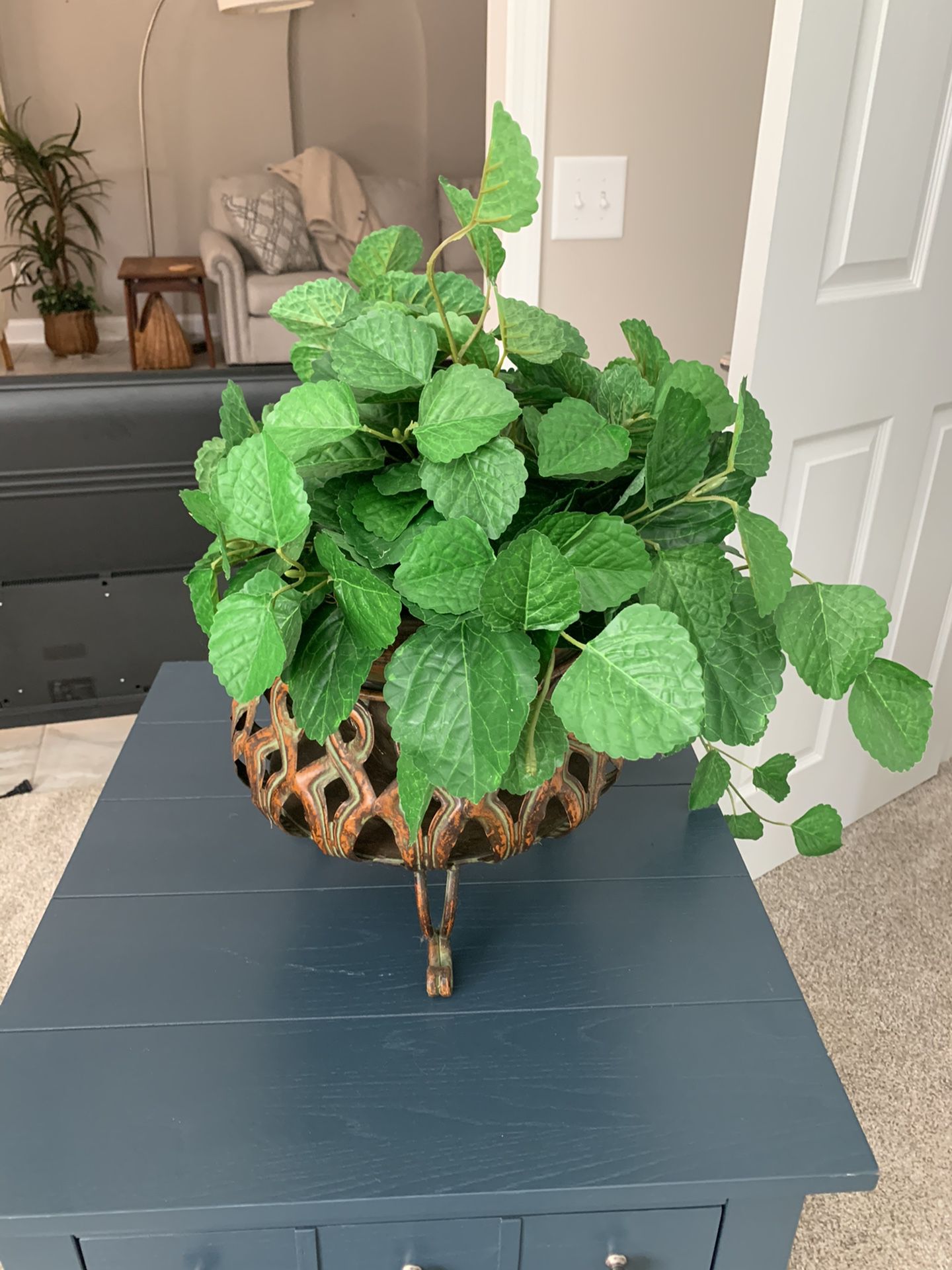 House plant and basket