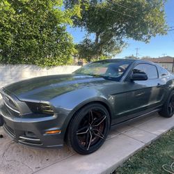 2013 Ford Mustang 