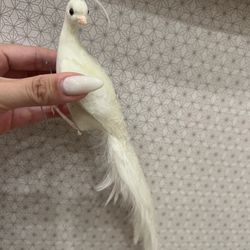 Decorative Doves Box Excellent Condition 