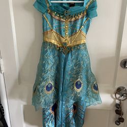 Disney Aladdin Princess Jasmine Halloween Costume 