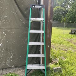 Werner Ladder 6ft, 10ft Maximum 225lbs Capability 