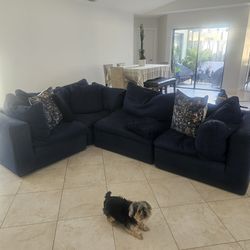Blue Sectional Couches