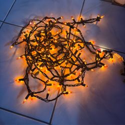 Halloween Holiday String Lights 25ft