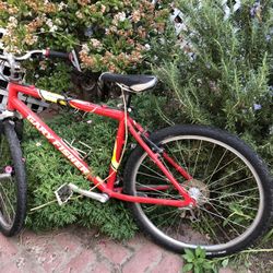 Gary fisher marlin bike