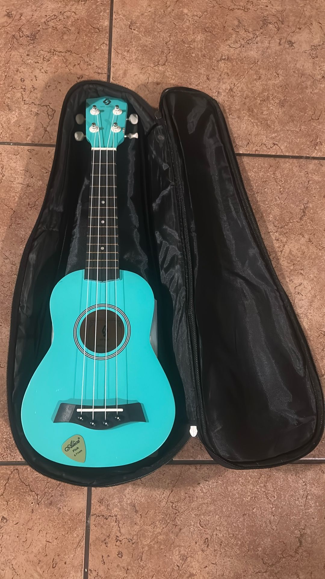 Ukulele Not Home