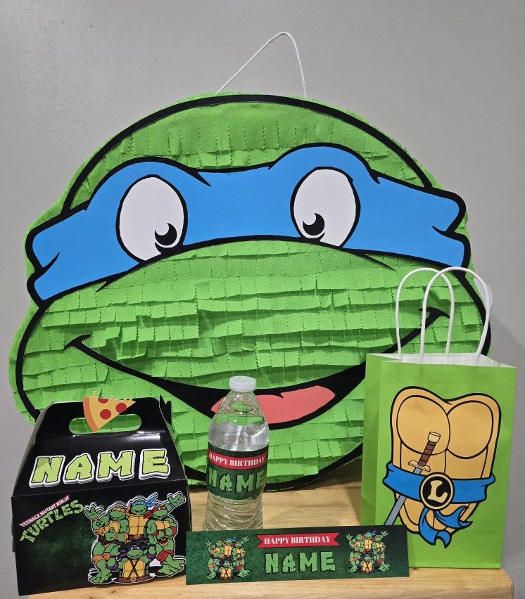 Ninja Turtles Pinata