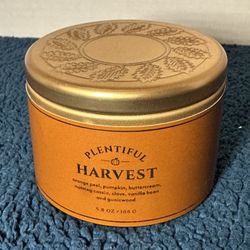 Plentiful Harvest Fall Scent Candle from Hobby Lobby - 5.8 ounces