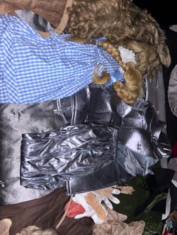 Alice n wonderland costume