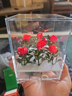 Acrylic Box with Artificial Roses and Butterfly