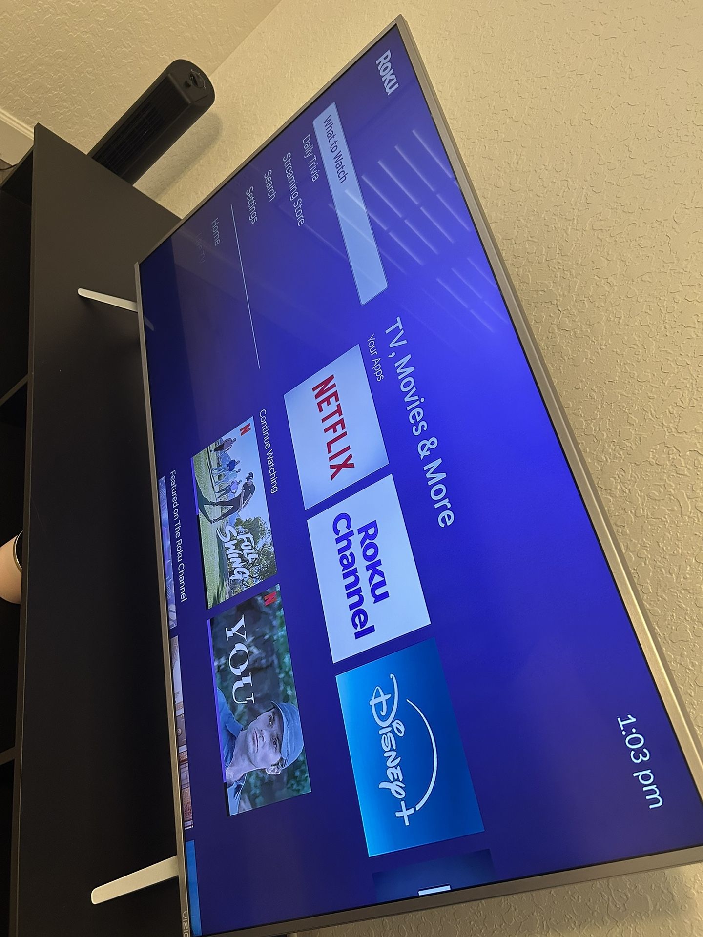 50in Vizio LCD TV