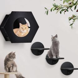 Cat Shelves 
