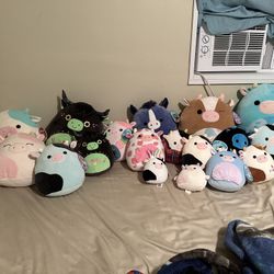 Squishmallows bundle (Open To Offers) Look In Description 