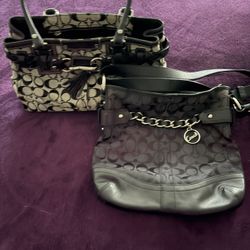 Ladies Bags