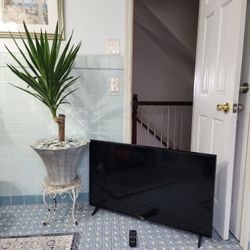43in "LG" Smart TV & Fancy Youca Plant..both For Only $65