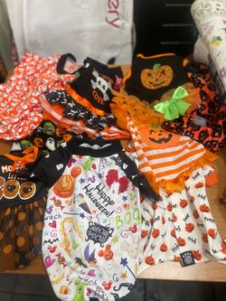 NEW DOG HALLOWEEN OUTFITS 🎃