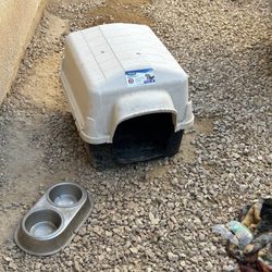 Dog House 
