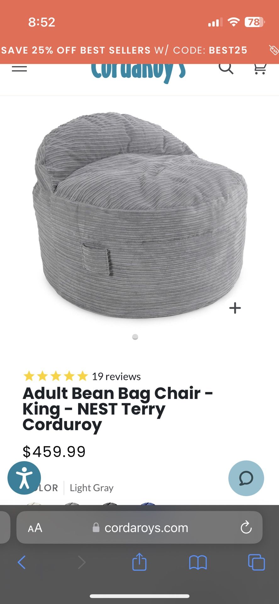 Adult Bean Bag Chair/Mattress