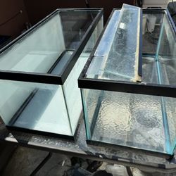 Aquarium Fish Tank Equipment Plant