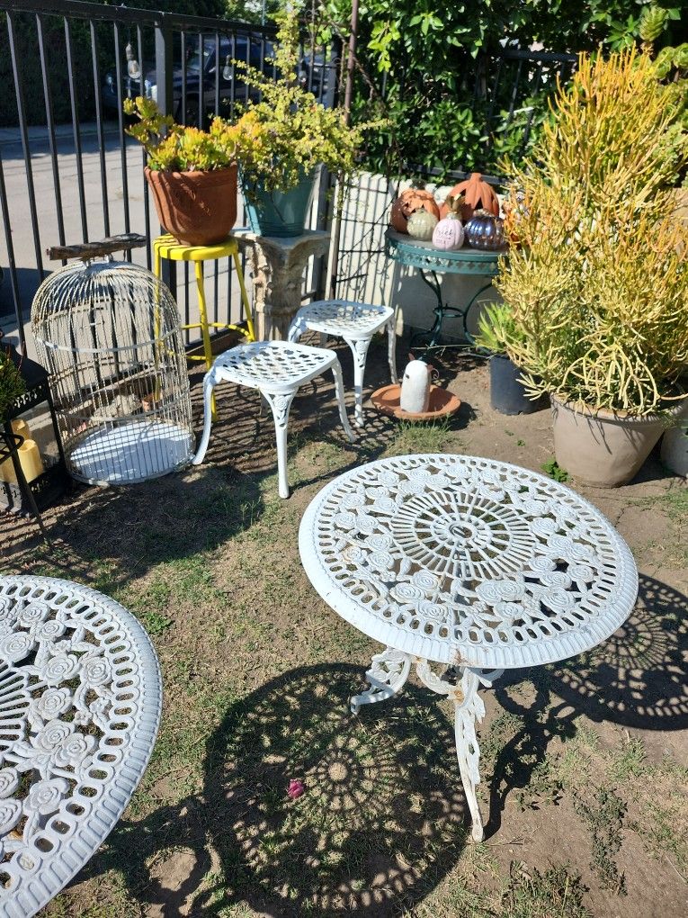 Alot Of Different Plants Different Pots And Plant Stands