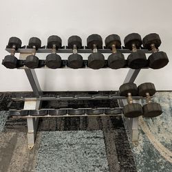  Dumbbells Set 10lbs-30lbs Commercial Dumbell Rack for Gym