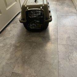 Cat Cage Good Condition 20.00