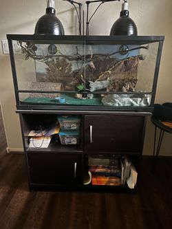 Bearded dragon tank and cabinet