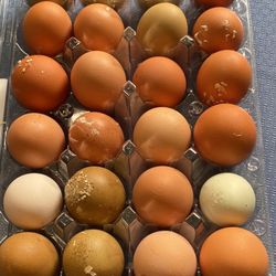 Fresh Free Range Chicken Eggs