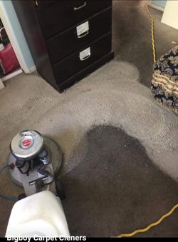 Carpet Cleaner, Carpet Cleaning