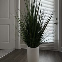 Palm Plant With White Pot Stand