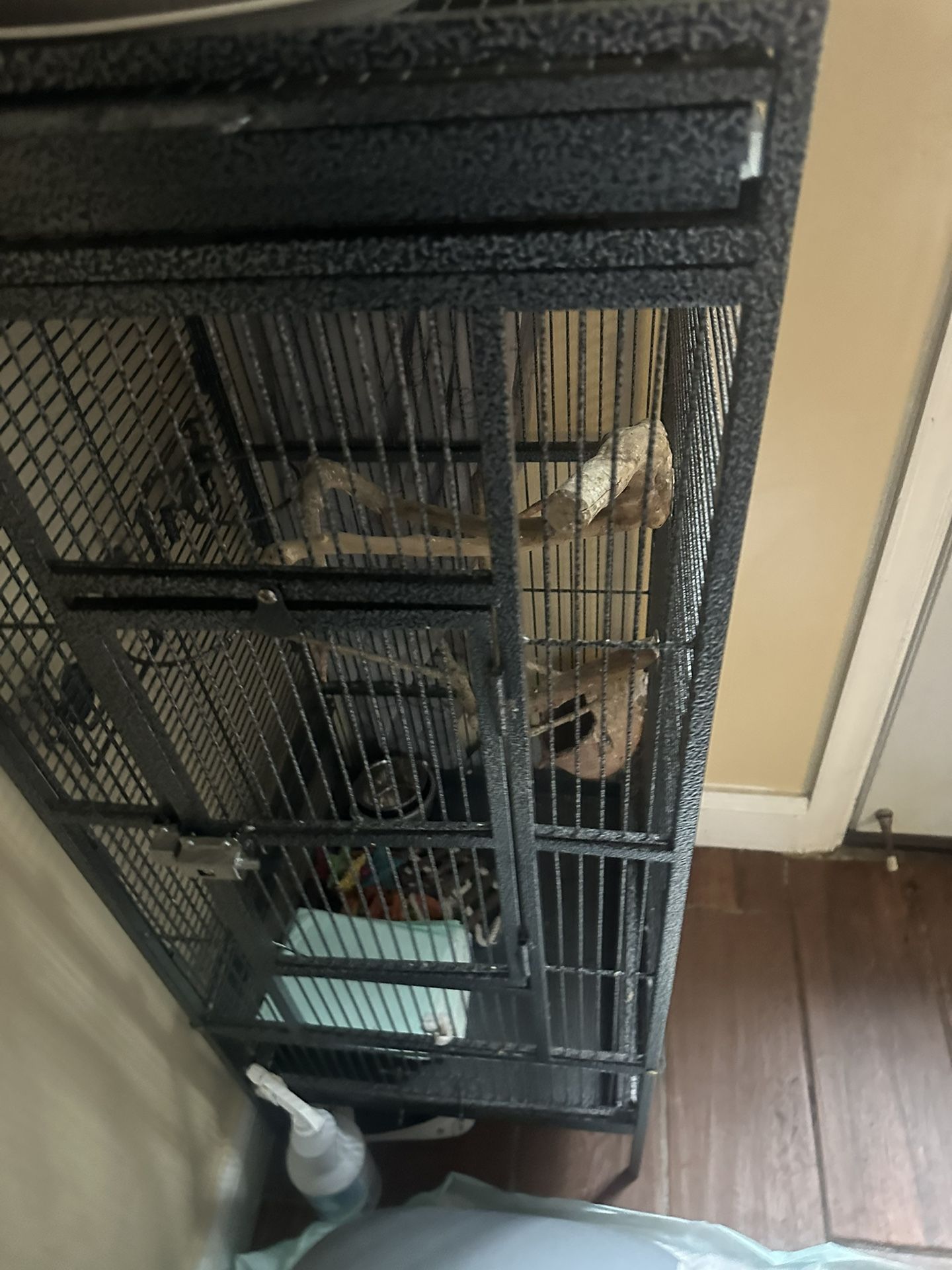 Bird Cage