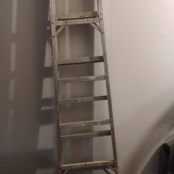 6 Foot Ladder