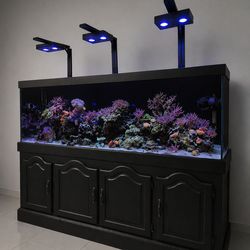 125 gallon Fish Tank