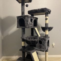 Tree and Feeder for Sale – Great Condition 🐾