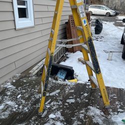 6ft Werner Step Ladder