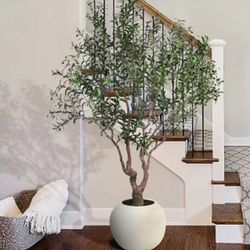 Member's Mark Faux 8' Deluxe Olive Tree in Oversized Cream Pot