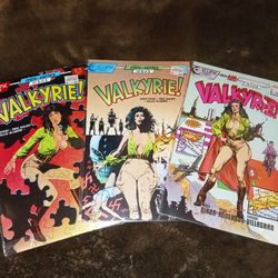 Valkyrie Comic Lot of  3 Series #1,2,3 (1987) Eclipse Comics