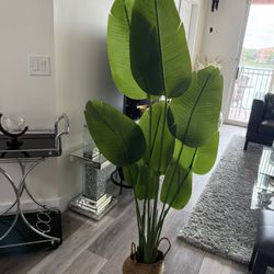 Pretty Artificial Plant 5 Ft Tall! Brand New