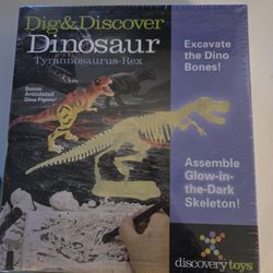 Dig &Discover Dinosaur 
