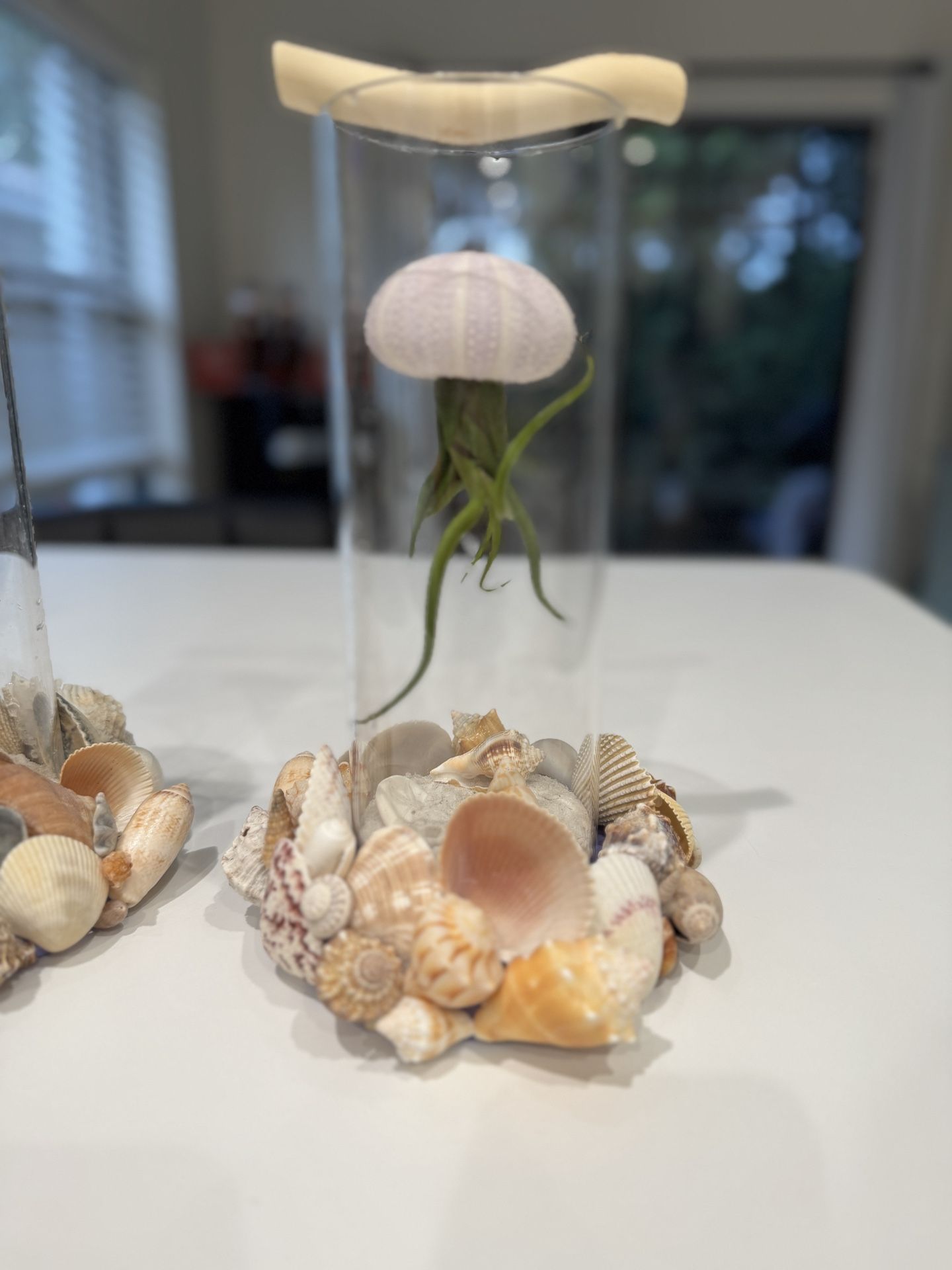 Jellyfish Seashell Hurricane Vases