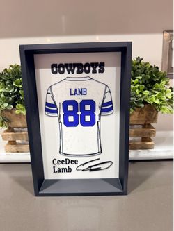 Ceedee lamb jersey box display