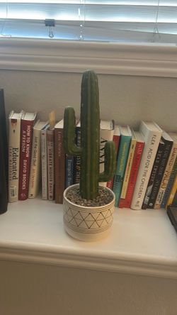 Home Decor Artificial Cactus