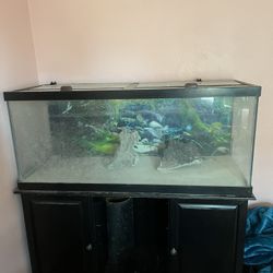 Fish Tank Terrarium 