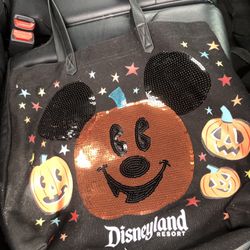 Disney bag and purses/bags for sale, Coach, DKNY, Dolce Vita