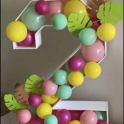 Balloon Number 