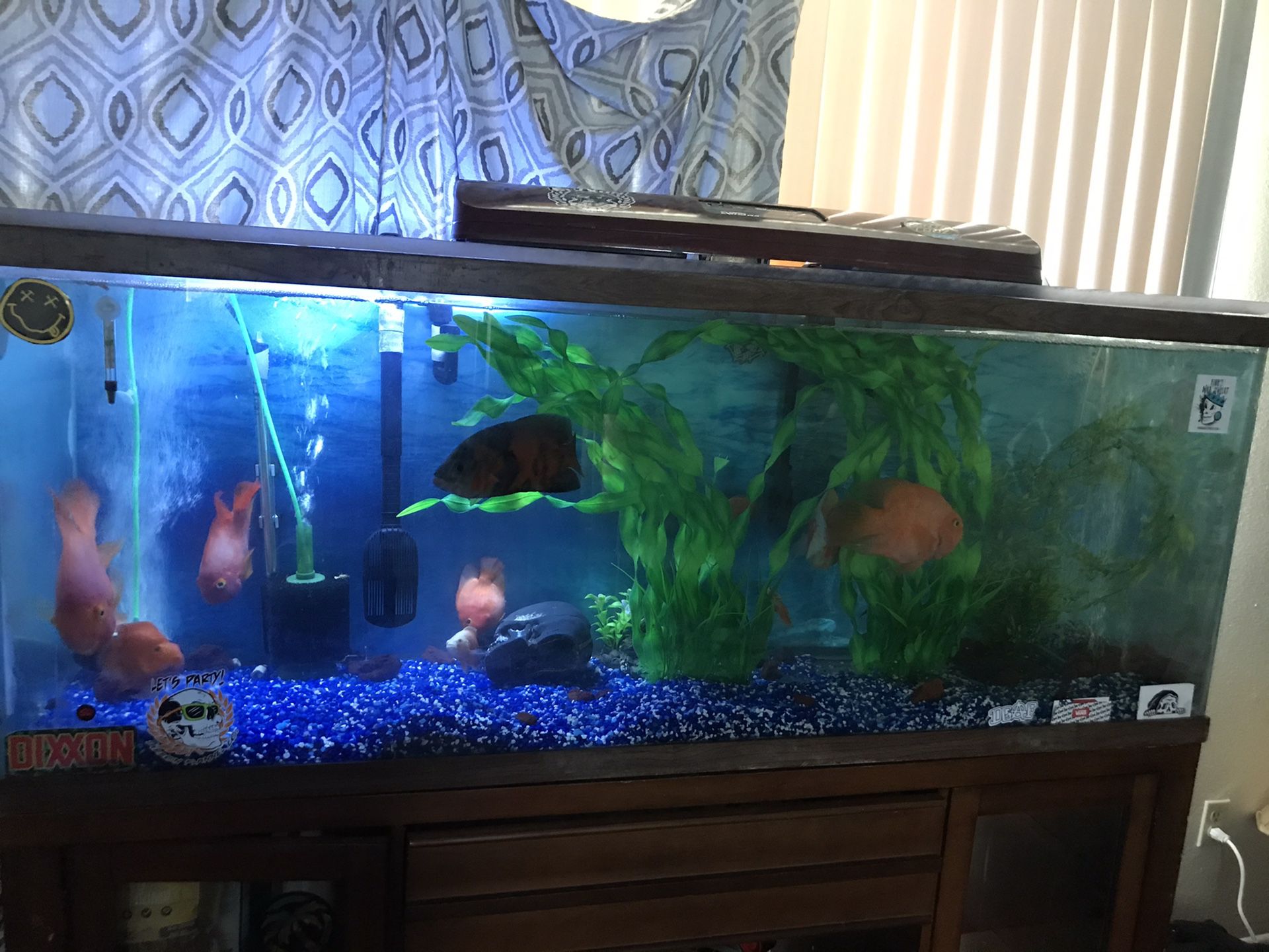 Fish tank and stand 110 gallons