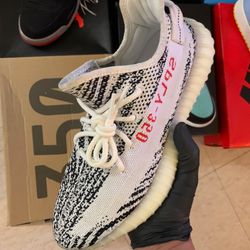 Yeezy 350 Zebra 9.5
