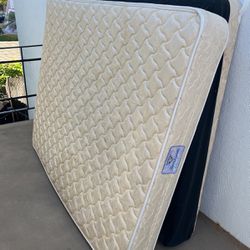 Bed And Box Spring Full Size 