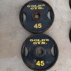 Golds Gym 45lb Olympic Weight Plate Set