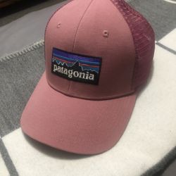 Patagonia Trucker Hat